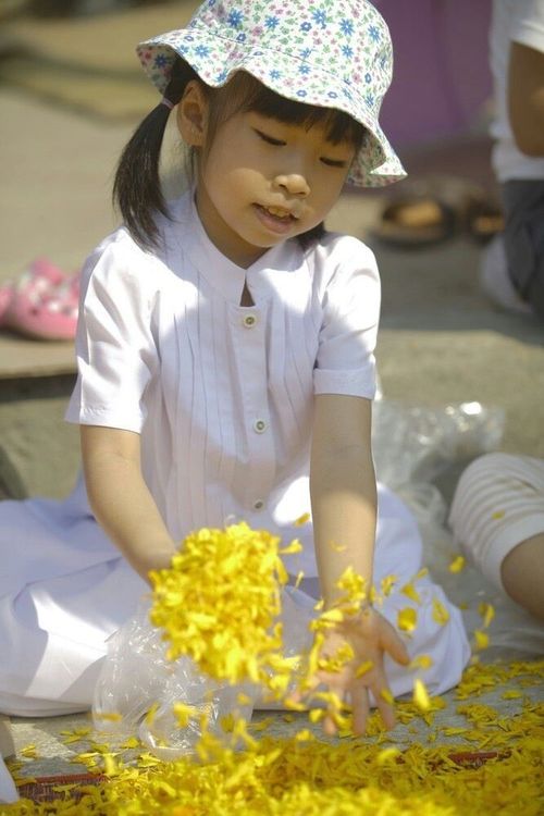 ภาพ No.7371:ประมวลภาพธุดงค์ธรรมชัย ปีที่ 2 วันที่ 21 มกราคม พ.ศ.2556
