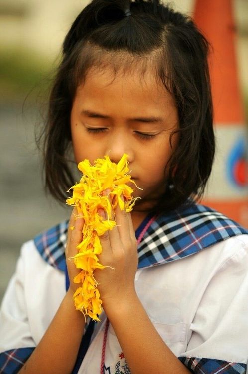 ภาพ No.7525:ประมวลภาพธุดงค์ธรรมชัย ปีที่ 2 วันที่ 23 มกราคม พ.ศ.2556