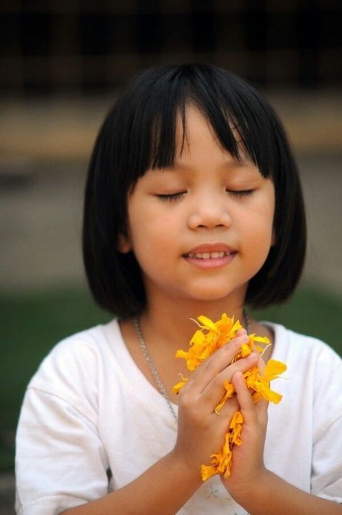 ภาพ No.7531:ประมวลภาพธุดงค์ธรรมชัย ปีที่ 2 วันที่ 23 มกราคม พ.ศ.2556