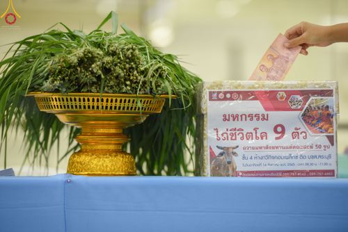 ภาพ No.49761:ประมวลภาพพิธีสักการะรูปหล่อพระมงคลเทพมุนี หลวงปู่วัดปากน้ำ ณ ห้างทวีกิจคอมเพล็กซ์ อ.เมือง จ.สระบุรี