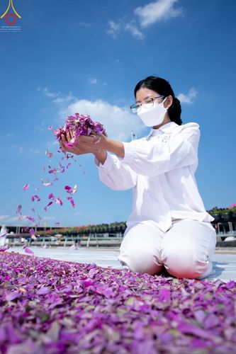 ภาพ No.42890:ประมวลภาพธรรมยาตรา ปีที่ 10 ประจำวันที่ 25 มกราคม พ.ศ. 2565