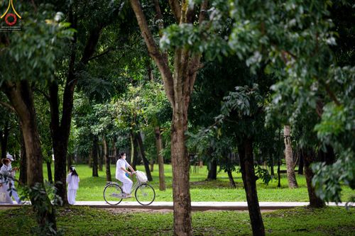 ภาพ No.52323:ประมวลภาพพิธีบูชาข้าวพระ (วันอาทิตย์ต้นเดือนตุลาคม) ณ วัดพระธรรมกาย จ.ปทุมธานี 