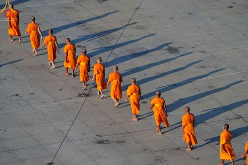 ประมวลภาพธรรมยาตรา ปีที่ 10  ประจำวันที่ 23 มกราคม พ.ศ. 2565 