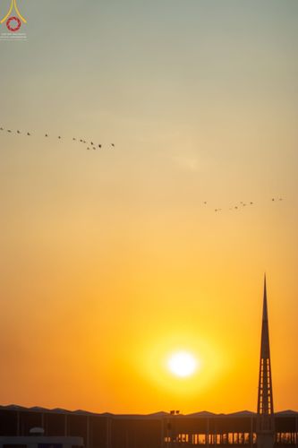 ภาพ No.41838:ประมวลภาพธรรมยาตรา ปีที่ 10  ประจำวันที่ 9 มกราคม พ.ศ. 2565