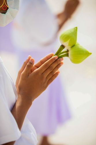 ภาพ No.44055:ประมวลภาพพิธีบรรพชาสามเณร โครงการบรรพชาสามเณรฟื้นฟูพระพุทธศาสนาทั่วไทย ณ ศูนย์อบรมเยาวชนธุดงคสถานชุมพร