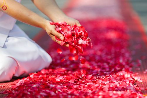 ภาพ No.42117:ประมวลภาพธรรมยาตรา ปีที่ 10  ประจำวันที่ 12 มกราคม พ.ศ. 2565