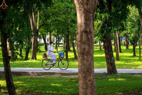 ภาพ No.47929:ประมวลภาพงานบุญวันอาทิตย์ต้นเดือนที่ 3 กรกฏาคม พ.ศ. 2565