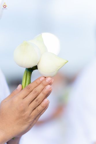 ภาพ No.47513:ประมวลภาพพิธีขอขมาและมอบผ้าไตร โครงการบรรพชาอุปสมบทหมู่ รุ่นเข้าพรรษา 2565