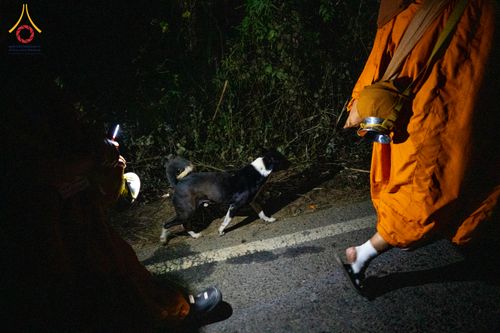 ภาพ No.309883:วันที่ 3-8 กุมภาพันธ์ พ.ศ. 2569 ธรรมยาตราบังกลาเทศ (Rajban Vihar - Khagrachri) ณ ประเทศบังกลาเทศ (Bangladesh)