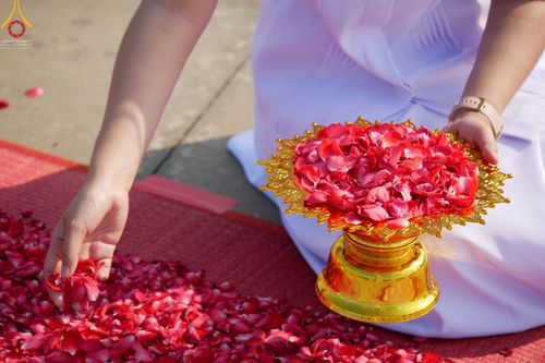 ภาพ No.42863:ประมวลภาพธรรมยาตรา ปีที่ 10 ประจำวันที่ 25 มกราคม พ.ศ. 2565