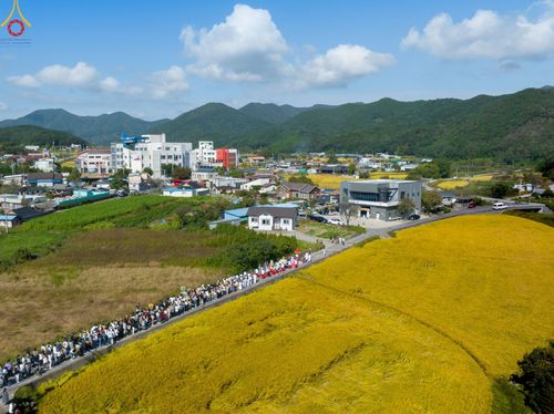 ภาพ No.53490:ประมวลภาพพิธีทอดกฐินสามัคคี ณ วัดภาวนาคยองจู ประเทศเกาหลีใต้ (วันที่ 16 ตุลาคม พ.ศ. 2565)