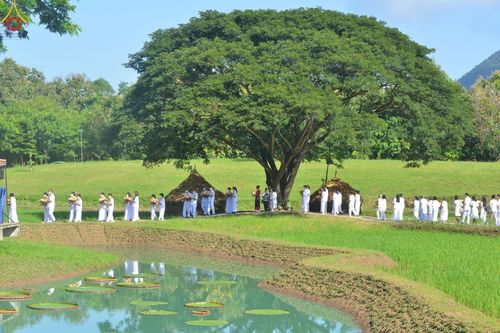 ภาพ No.53355:ประมวลภาพพิธีทอดกฐินสามัคคี ณ ศูนย์ปฏิบัติธรรมนานาชาติปาย (วันที่ 15 ตุลาคม พ.ศ. 2565)