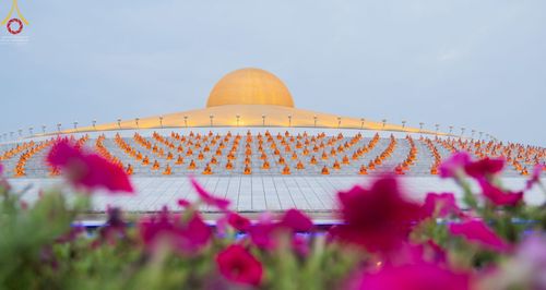 ภาพ No.43470:ประมวลภาพวันมาฆบูชา ประจำปี พ.ศ. 2565 ณ วัดพระธรรมกาย (ชุดที่ 2)