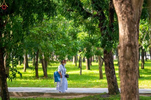 ภาพ No.47930:ประมวลภาพงานบุญวันอาทิตย์ต้นเดือนที่ 3 กรกฏาคม พ.ศ. 2565