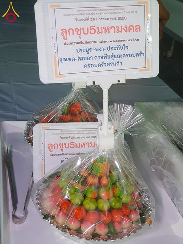 ภาพ No.201507:พิธีถวายภัตตาหารเป็นสังฆทาน แด่พระธรรมยาตรา ณ อนุสรณ์สถานบางปลา วัดบางปลา อำเภอบางเลน จังหวัดนครปฐม ในโครงการธรรมยาตรา กตัญญูบูชา มหาปูชนียาจารย์ พระมงคลเทพมุนี(สด จนฺทสโร) พระผู้ปราบมาร อนุสรณ์สถาน 7 แห่ง ปีที่ 13 วันที่ 25 มกราคม พ.ศ. 2568