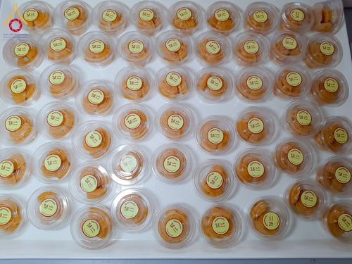 ภาพ No.196990:พิธีถวายภัตตาหารเป็นสังฆทาน แด่พระธรรมยาตรา ณ วัดโบสถ์(บน) ตำบลบางคูเวียง อำเภอบางกรวย จังหวัดนนทบุรี ในโครงการธรรมยาตรา กตัญญูบูชา มหาปูชนียาจารย์ พระมงคลเทพมุนี(สด จนฺทสโร) พระผู้ปราบมาร อนุสรณ์สถาน 7 แห่ง ปีที่ 13 วันที่ 18 มกราคม พ.ศ. 2568