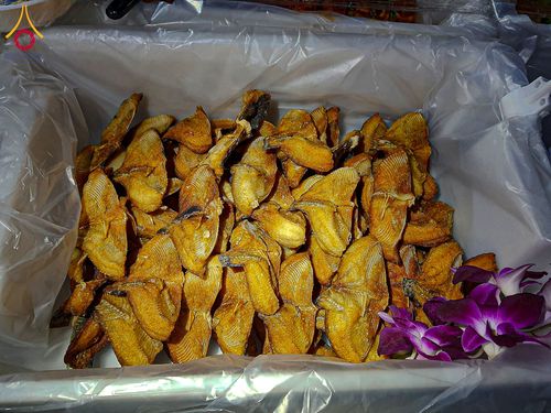 ภาพ No.200274:พิธีถวายภัตตาหารเป็นสังฆทาน แด่พระธรรมยาตรา ณ อนุสรณ์สถานบางปลา วัดบางปลา อำเภอบางเลน จังหวัดนครปฐม ในโครงการธรรมยาตรา กตัญญูบูชา มหาปูชนียาจารย์ พระมงคลเทพมุนี(สด จนฺทสโร) พระผู้ปราบมาร อนุสรณ์สถาน 7 แห่ง ปีที่ 13 วันที่ 23 มกราคม พ.ศ. 2568