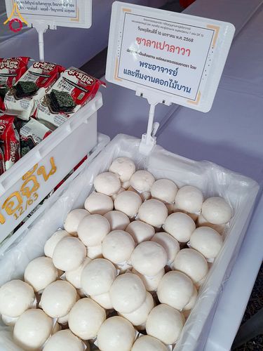 ภาพ No.195953:พิธีถวายภัตตาหารเป็นสังฆทาน แด่พระธรรมยาตรา ณ วัดโบสถ์(บน) ตำบลบางคูเวียง อำเภอบางกรวย จังหวัดนนทบุรี ในโครงการธรรมยาตรา กตัญญูบูชา มหาปูชนียาจารย์ พระมงคลเทพมุนี(สด จนฺทสโร) พระผู้ปราบมาร อนุสรณ์สถาน 7 แห่ง ปีที่ 13 วันที่ 16 มกราคม พ.ศ. 2568