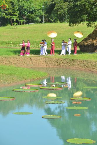 ภาพ No.53356:ประมวลภาพพิธีทอดกฐินสามัคคี ณ ศูนย์ปฏิบัติธรรมนานาชาติปาย (วันที่ 15 ตุลาคม พ.ศ. 2565)