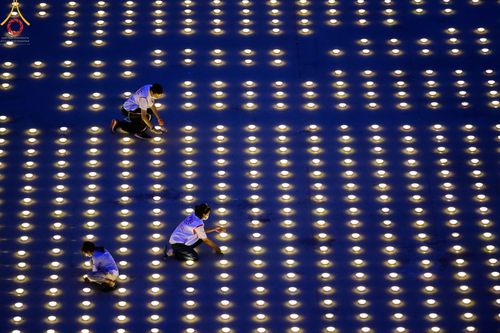 ภาพ No.49107:ประมวลภาพพิธีจุดประทีป  ในวันสมาธิโลก (วันเสาร์ที่ 6 สิงหาคม พ.ศ. 2565)