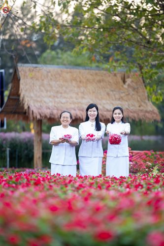 ภาพ No.281042:วันที่ 28 ธันวาคม พ.ศ.2568 กิจกรรมเก็บดอกแพงรวย ณ ทุ่งสวรรค์ตะวันฉาย วัดพระธรรมกาย