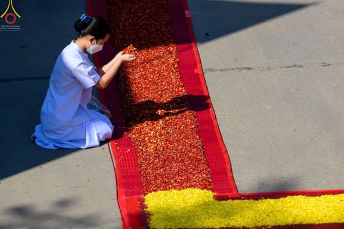 ภาพ No.41668:ประมวลภาพธรรมยาตรา ปีที่ 10  ประจำวันที่ 8 มกราคม พ.ศ. 2565