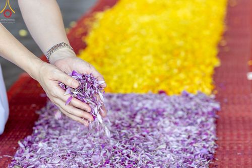 ภาพ No.42337:ประมวลภาพธรรมยาตรา ปีที่ 10  ประจำวันที่ 16 มกราคม พ.ศ. 2565