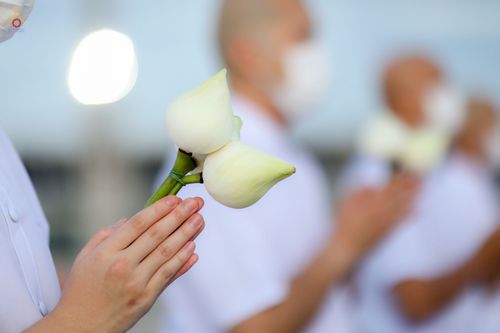 ภาพ No.47518:ประมวลภาพพิธีขอขมาและมอบผ้าไตร โครงการบรรพชาอุปสมบทหมู่ รุ่นเข้าพรรษา 2565