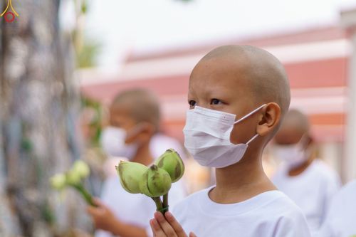 ภาพ No.44692:ประมวลภาพพิธีบรรพชา ในโครงการบรรพชาสามเณรฟื้นฟูพระพุทธศาสนาทั่วไทย ณ วัดสองพี่น้อง