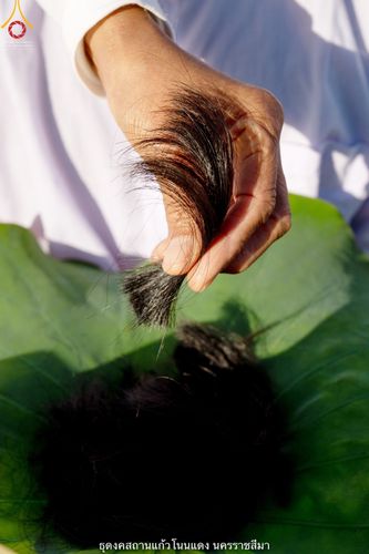 ภาพ No.40250:พิธีตัดปอยผม ปลงผม ขอขมารับผ้าไตรและพิธีบรรพชา ในโครงการอุปสมบท บูชาธรรมมหาปูชนียาจารย์ ประจำปี 2564 ชุดที่ 11