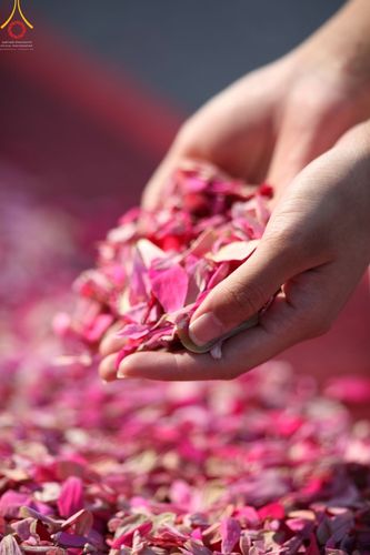 ภาพ No.42336:ประมวลภาพธรรมยาตรา ปีที่ 10  ประจำวันที่ 16 มกราคม พ.ศ. 2565