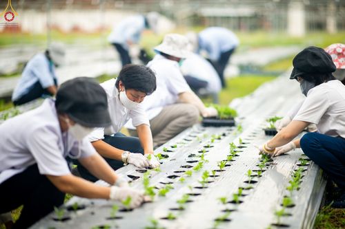 ภาพ No.49844:ประมวลภาพสาธุชนรับบุญปลูกต้นกล้า "เบญจทรัพย์" ณ แปลงปลูกปทุมเจดีย์ วัดพระธรรมกาย