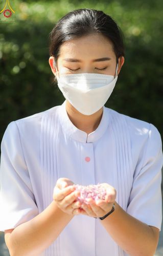 ภาพ No.42997:ประมวลภาพธรรมยาตรา ปีที่ 10  ประจำวันที่ 30 มกราคม พ.ศ. 2565