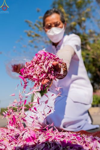 ภาพ No.41669:ประมวลภาพธรรมยาตรา ปีที่ 10  ประจำวันที่ 8 มกราคม พ.ศ. 2565