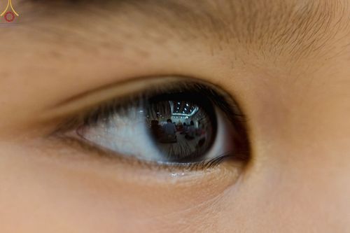 ภาพ No.57258:ประมวลภาพพิธีทอดกฐินสามัคคี ณ ธุดงคสถานปราจีนบุรี (วันที่ 29 ตุลาคม พ.ศ. 2565)