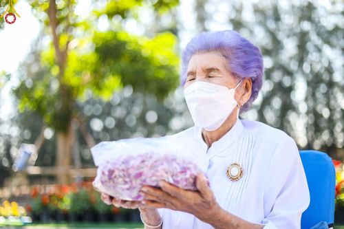 ภาพ No.42127:ประมวลภาพธรรมยาตรา ปีที่ 10  ประจำวันที่ 12 มกราคม พ.ศ. 2565