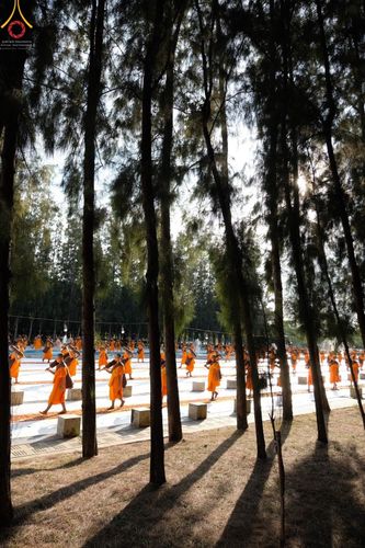 ภาพ No.41254:ประมวลภาพธรรมยาตรา ปีที่ 10  ประจำวันที่ 2 มกราคม พ.ศ. 2565 ชุดที่ 1