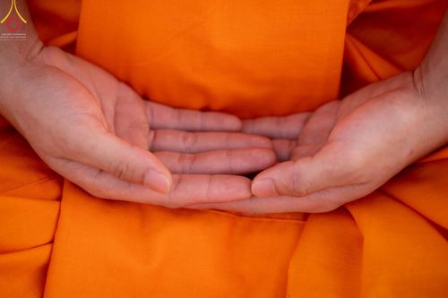 ภาพ No.41852:ประมวลภาพธรรมยาตรา ปีที่ 10  ประจำวันที่ 9 มกราคม พ.ศ. 2565