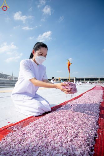 ภาพ No.42875:ประมวลภาพธรรมยาตรา ปีที่ 10 ประจำวันที่ 25 มกราคม พ.ศ. 2565