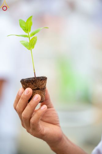 ภาพ No.52529:ประมวลภาพวันคล้ายวันเกิดครบรอบ 138 ปี พระมงคลเทพมุนี (สด จนฺทสโร) พระผู้ปราบมาร ชุดที่ 2