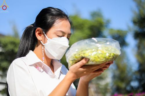 ภาพ No.42129:ประมวลภาพธรรมยาตรา ปีที่ 10  ประจำวันที่ 12 มกราคม พ.ศ. 2565