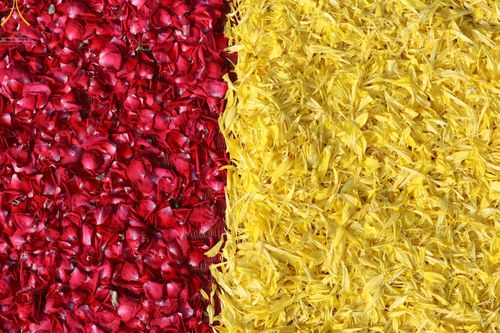 ภาพ No.41258:ประมวลภาพธรรมยาตรา ปีที่ 10  ประจำวันที่ 2 มกราคม พ.ศ. 2565 ชุดที่ 1