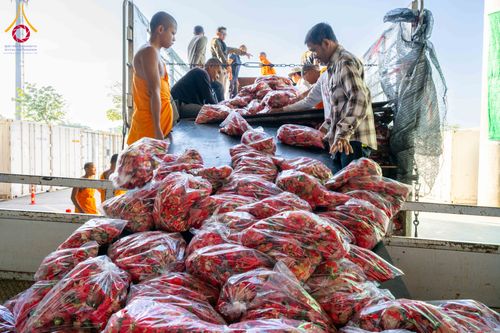 ภาพ No.279429:วันที่ 19-26 ธันวาคม พ.ศ. 2568 และ วันที่ 1 มกราคม พ.ศ.2569 รับบุญปลิดกลีบดอกไม้ เพื่อโปรยต้อนรับพระธรรมยาตรา