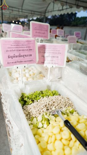 ภาพ No.73766:พิธีถวายภัตตาหารเป็นสังฆทาน แด่คณะพระธรรมยาตราฯ ในโครงการธรรมยาตรากตัญญูบูชา มหาปูชนียาจารย์ พระมงคลเทพมุนี(สด จนฺทสโร) พระผู้ปราบมาร อนุสรณ์สถาน 7 แห่ง ปีที่ 11 วันที่ 22 มกราคม พ.ศ. 2566