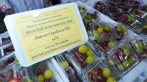 ภาพ No.75024:พิธีถวายภัตตาหารเป็นสังฆทาน แด่คณะพระธรรมยาตราฯ ในโครงการธรรมยาตรากตัญญูบูชา มหาปูชนียาจารย์ พระมงคลเทพมุนี(สด จนฺทสโร) พระผู้ปราบมาร อนุสรณ์สถาน 7 แห่ง ปีที่ 11 วันที่ 30 มกราคม พ.ศ. 2566