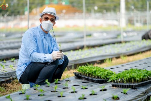 ภาพ No.49849:ประมวลภาพสาธุชนรับบุญปลูกต้นกล้า "เบญจทรัพย์" ณ แปลงปลูกปทุมเจดีย์ วัดพระธรรมกาย