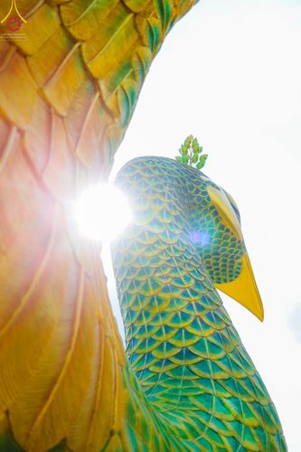 ภาพ No.43215:พิธีอัญเชิญมยุรนาวากาศ บูชาธรรมมหาปูชนียาจารย์ วันพฤหัสบดีที่ 3 กุมภาพันธ์ พ.ศ. 2565