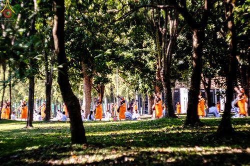 ภาพ No.43008:ประมวลภาพธรรมยาตรา ปีที่ 10  ประจำวันที่ 30 มกราคม พ.ศ. 2565