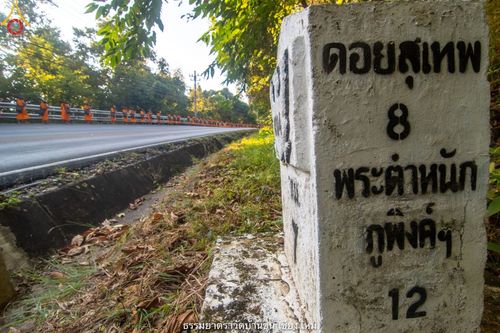 ภาพ No.39946:คณะพระภิกษุ - สามเณร วัดบ้านขุนกว่า ๓๐๐ รูป เดินธรรมยาตราฉลองแชมป์บาลี ๒๕๖๔