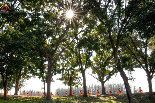 ภาพ No.43010:ประมวลภาพธรรมยาตรา ปีที่ 10  ประจำวันที่ 30 มกราคม พ.ศ. 2565